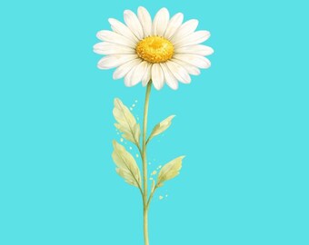Watercolor Daisy PNG Clipart – Spring Floral Transparent Background