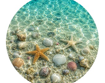 Kristallklare Unterwassermuscheln und Seestern PNG SVG Clipart für Strand Handwerk, tropische Ozeanboden Szene, Küstensommer Dekor
