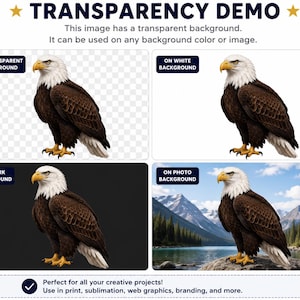 May include: A digital graphic of a bald eagle with a white head, dark brown body, and yellow beak and talons. The image displays the eagle against four different backgrounds: transparent, white, dark, and a mountain landscape photo.