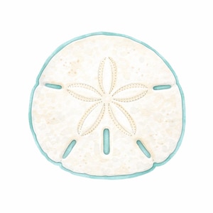 May include: Watercolor illustration of a sand dollar with a light beige color and a star-shaped pattern in the center. The sand dollar is outlined with a light blue border, set against a white background.