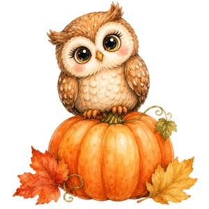 May include: A watercolour illustration of a brown owl with large dark eyes and pink cheeks perched on top of a round orange pumpkin. The pumpkin is decorated with a green stem, a small green leaf, and two fallen autumn leaves in red and yellow.