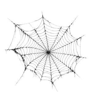 May include: A black spider web illustration featuring a central point with radiating lines and concentric circular threads. The design displays irregular, frayed edges and varying line thicknesses to create a realistic, weathered appearance.
