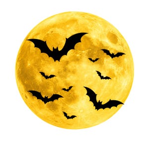 May include: A large, circular, textured yellow moon graphic serves as the backdrop for several black silhouettes of bats in various sizes and flight positions, scattered across the surface of the moon to create a layered visual effect.