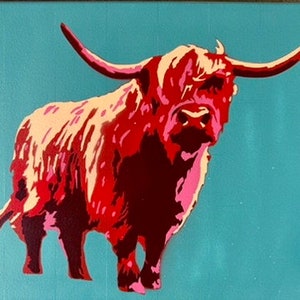 Highland Cow