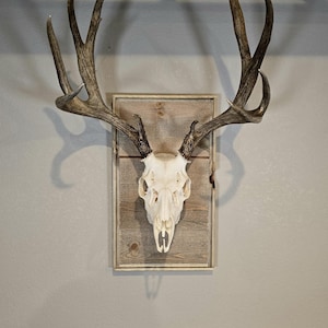 Barnwood Euro Mount