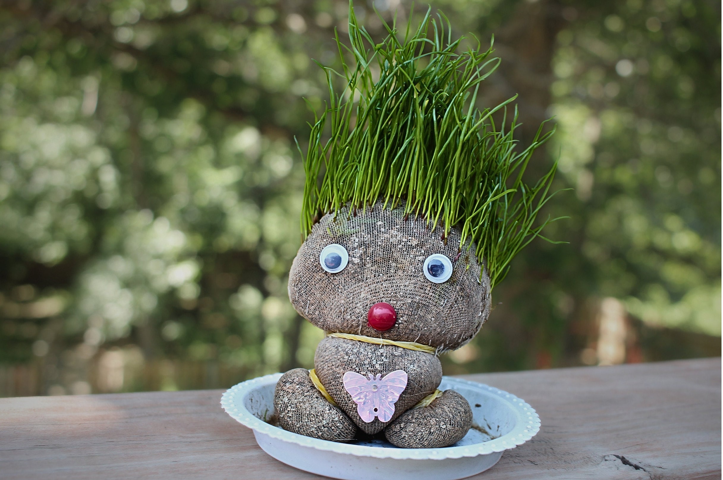 Teste Da Pettinare Giocattoli Per Crescere Erba Con Testa Di