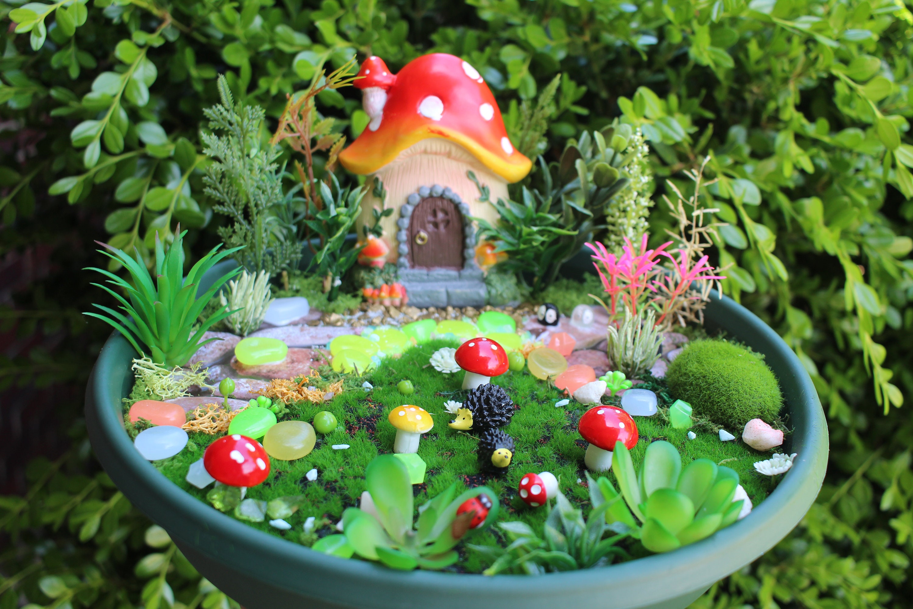 Magic Small Forest Mushroom House Hedgehog Miniature Fairy Garden DIY ...