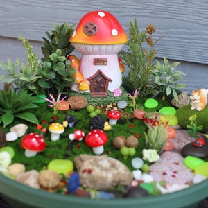 May include: A miniature fairy garden in a green plastic planter. The garden features a mushroom house with the word "Home" on the front, surrounded by miniature plants, rocks, and mushrooms. There is a small squirrel figurine in the garden.