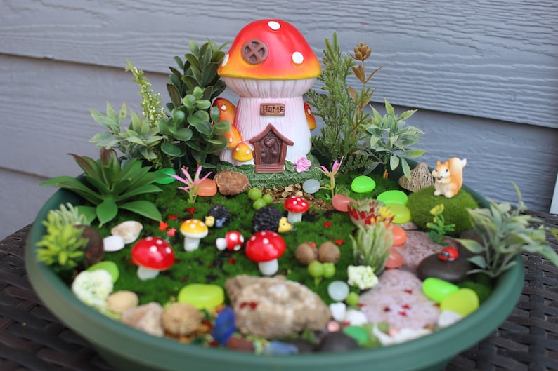 May include: A miniature fairy garden in a green plastic planter. The garden features a mushroom house with the word "Home" on the front, surrounded by miniature plants, rocks, and mushrooms. There is a small squirrel figurine in the garden.