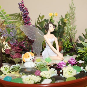 May include: A miniature fairy garden scene with a white fairy figurine with wings, a small white dog figurine, and various green and purple plants in a brown planter.