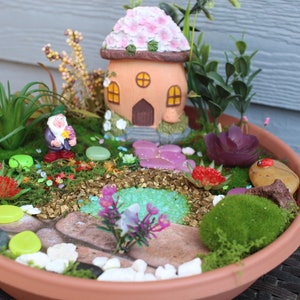 May include: A miniature fairy garden in a terracotta pot with a pink and brown mushroom house, a green gnome figurine, green moss, and various colorful stones.