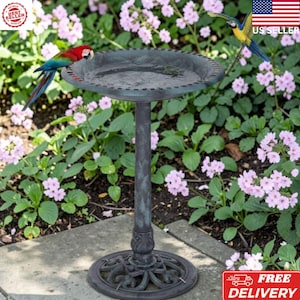 May include: A dark gray birdbath with a circular basin and a decorative pedestal base. The basin features a scalloped edge. Two colorful parrots are perched near the basin, one on the left rim and one flying toward the right side.