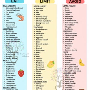 Lista de Alimentos para Dieta Renal (PDF para Impressão) - Alimentos com Baixo Teor de Potássio e Sódio - Guia de Nutrição para Doença Renal Crônica e Transplante (Versão Inglês/Espanhol)