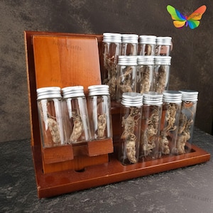May include: A wooden spice rack with 15 glass jars with silver lids. The jars are filled with dried herbs and roots. The rack has two shelves and is made of dark wood.