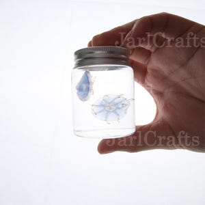 Elegant Upside-Down Jellyfish Specimen With Jar - 2 Jellyfish Set, Jellyfish Of Random Sizes, Wet Light Blue Jellyfish Soaked Specimen