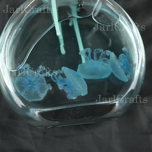 Personalized Papua Jellyfish, Authentic Jellyfish, Wetware, Custom Jellyfish Quantities, Gifts For Marine Animal Lovers