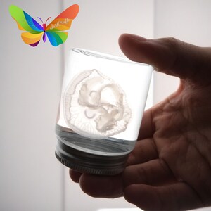 May include: A clear glass jar with a silver lid, containing a white, translucent object. The jar is held in a hand. A colorful butterfly logo with the text "JarlCrafts" is in the upper left corner.