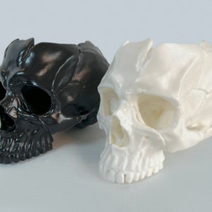 May include: Two 3D printed skull planters, one black and one white. The skulls are detailed and have a realistic look.