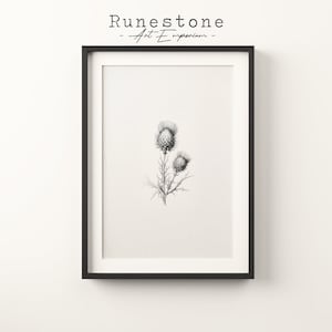 Impresión de boceto de flores silvestres de cardo / Arte de pared botánico Retrato mínimo / Dibujo a lápiz Decoración del hogar / Arte de pared neutral Impresión digital Descargar