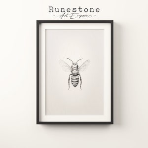 Vintage Bee Sketch Print | Bee Wall Art | Minimalist Wall Art | Natural Illustration Print | Digital Print | Digital Download