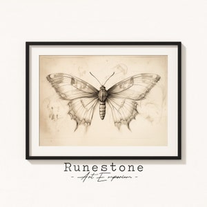 Ilustración de polilla vintage / Boceto de insectos / Arte de pared de humor oscuro / Obra de arte mínima / Dibujo a lápiz neutro / Descarga de impresión digital