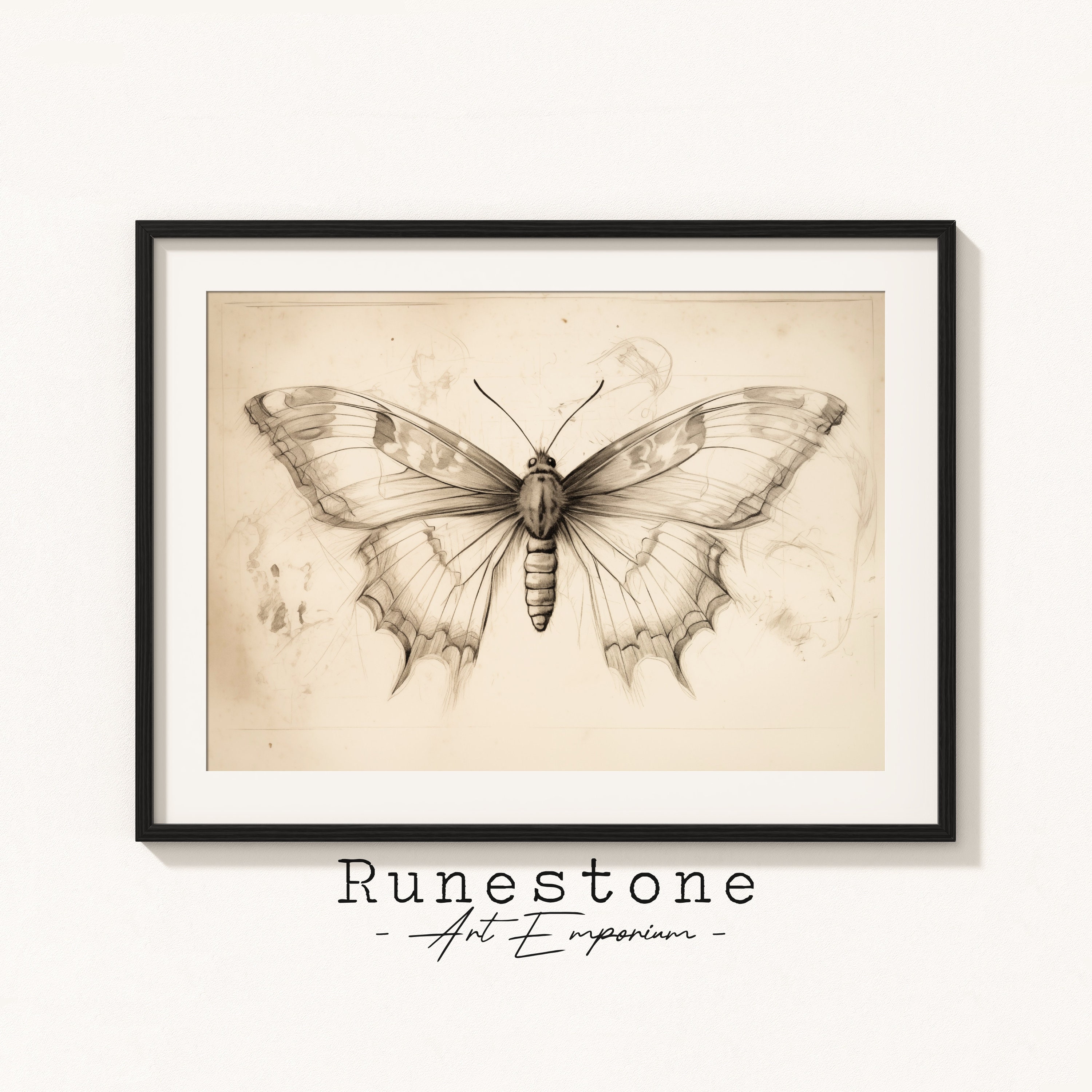Vintage Moth Illustration | Insect Sketch | Dark Moody Wall Art ...