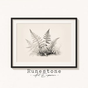 Farn Pflanze Botanische Skizze | Wissenschaftliche Zeichnung | Minimal Landschaft | Bleistift Zeichnung Wohnkultur | Neutrale Wandkunst | Digitaldruck Download