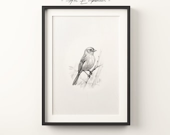 Vintage Sparrow Bird Sketch | Spring Wall Art | Minimalist Wall Art | Animal Drawing Print | Digital Print | Bird Wall Art | Vintage Sketch