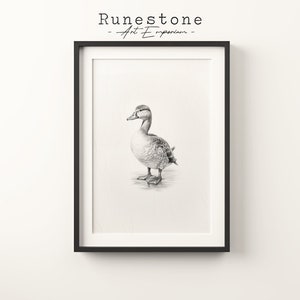 Vintage Enten Skizze Druck |Bauernhaus Wand Kunst | Minimalistisches Porträt | Bleistift Zeichnung Wand-Dekor | Neutrale Wand Kunst Digitaldruck Download
