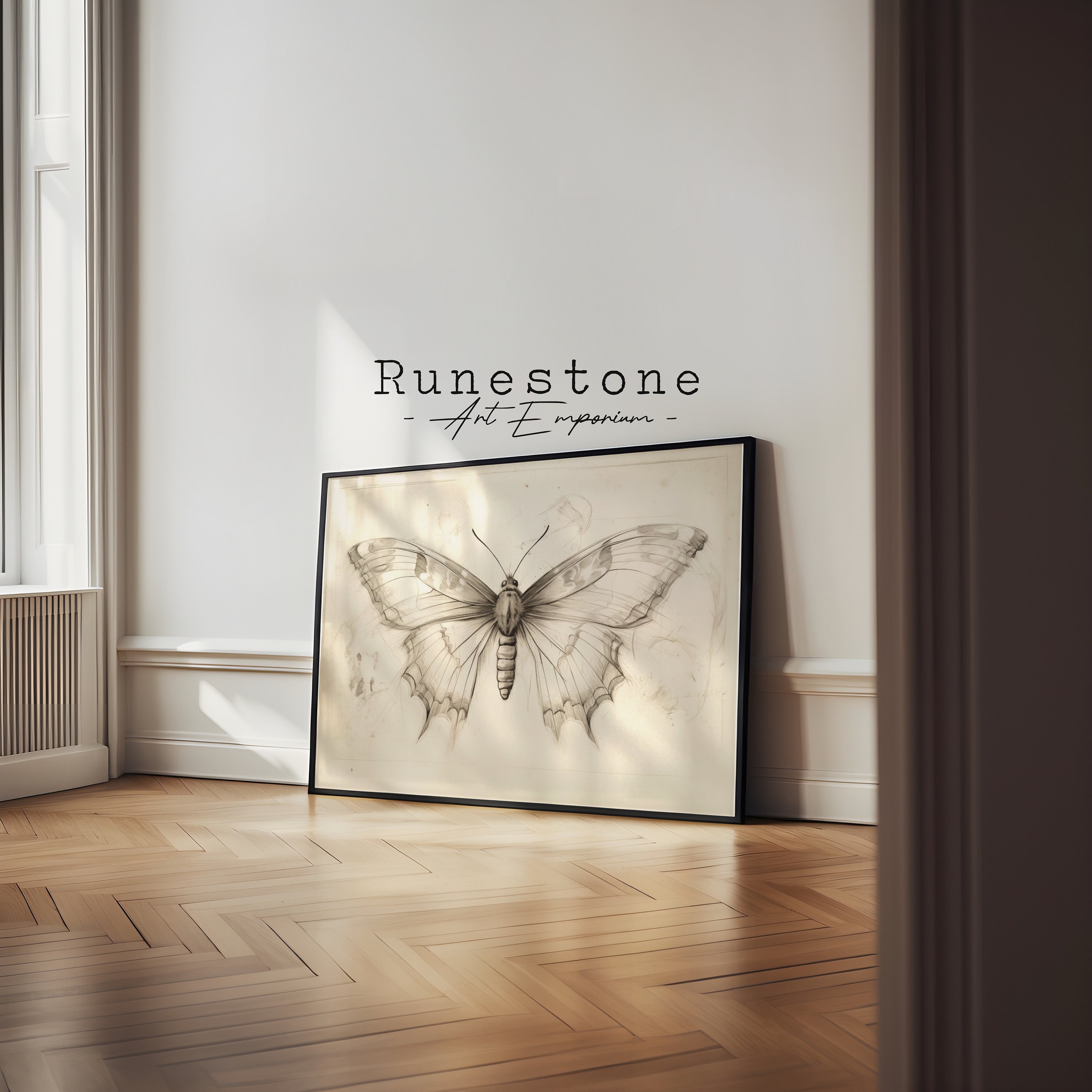 Vintage Moth Illustration | Insect Sketch | Dark Moody Wall Art ...