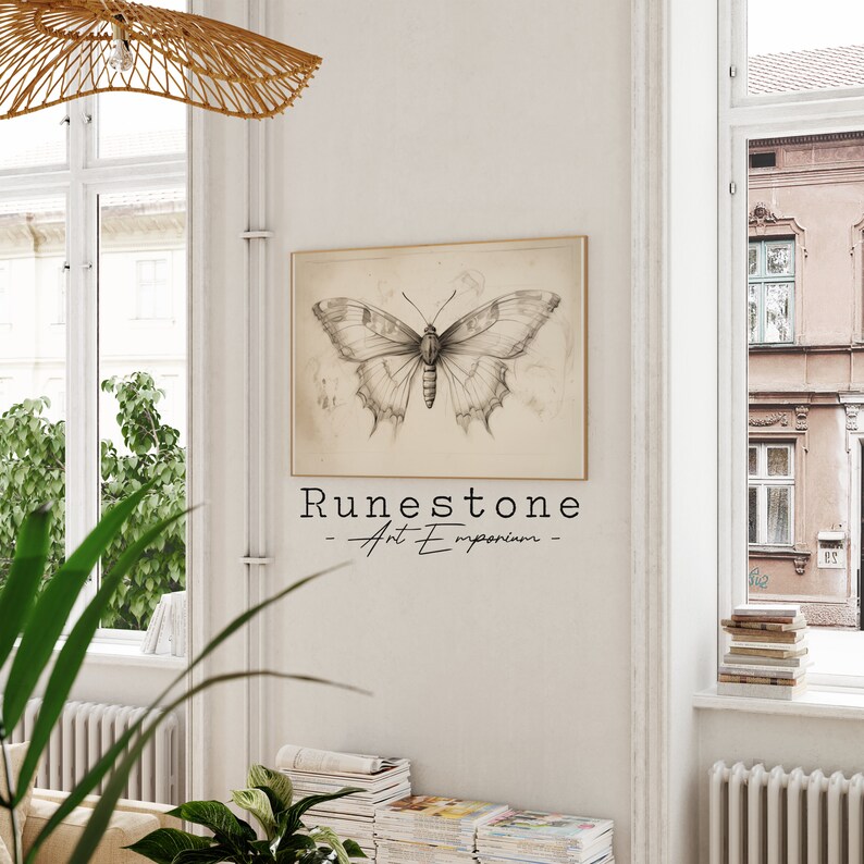 Vintage Moth Illustration | Insect Sketch | Dark Moody Wall Art ...