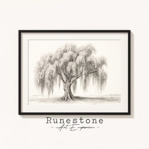 Willow Tree Sketch Print / Arte botánico de la pared / Retrato mínimo / Dibujo a lápiz Decoración del hogar / Arte de pared neutral Descarga de impresión digital