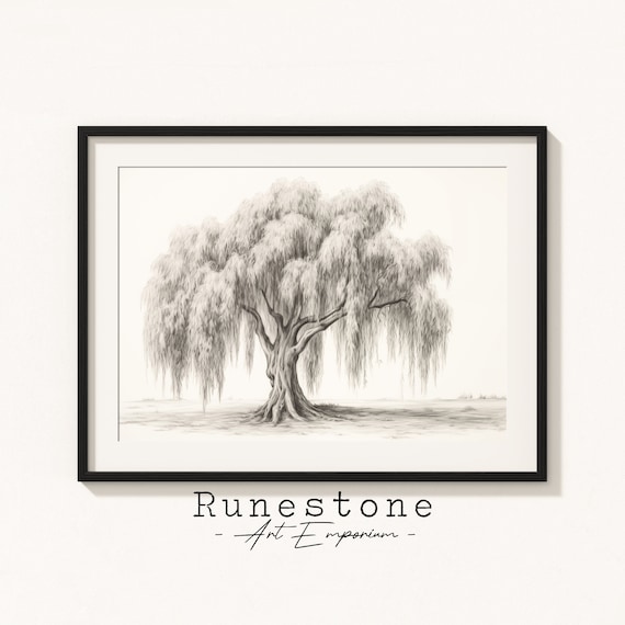 Willow Tree Sketch Print | Botanical Wall Art | Minimal Portrait