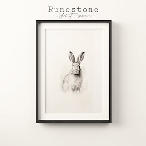 Puede incluir: Lámina artística enmarcada con una ilustración en blanco y negro de un conejo. La impresión está firmada "Runestone - Art Emporium". El conejo, con largas orejas, es el foco principal y está detalladamente representado.