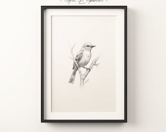 Minimalist Bird Sketch Print | Country Wall Art | Minimal Portrait | Pencil Drawing Home Decor | Still Life Wall Art Digital Print Download