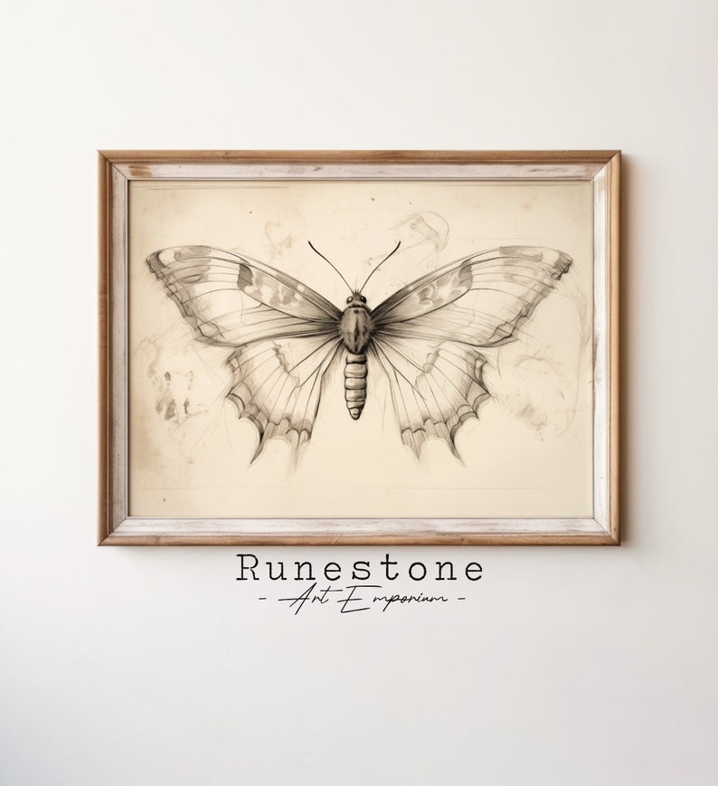 Vintage Moth Illustration | Insect Sketch | Dark Moody Wall Art ...