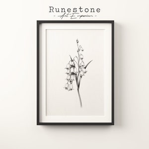 Glockenblume Skizze Print | Botanische Wandkunst | Minimalistisches Porträt | Bleistift Zeichnung Wohnkultur | Neutrale Wand Kunst Digitaldruck Download