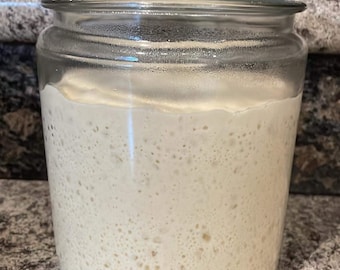 230+ Year Old Live Sourdough Starter - Made in America!