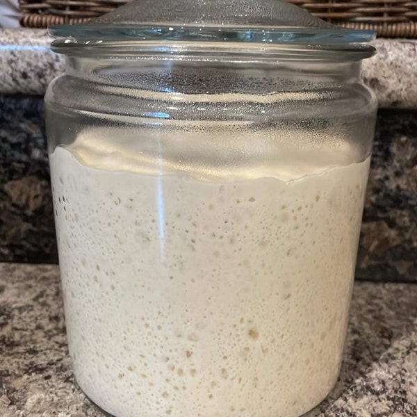 230+ Year Old Live Sourdough Starter - Made in America!