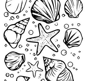 Seashells