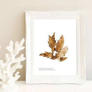 Coastal Pressed Seaweed Artwork, Download Print, Ocean, Home Decor, Wall Art, Nautical, Marine, Sea