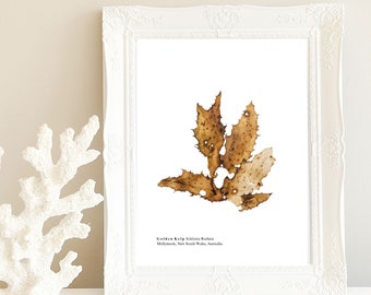 Coastal Pressed Seaweed Artwork, Download Print, Ocean, Home Decor, Wall Art, Nautical, Marine, Sea