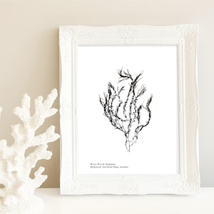 Coastal Pressed Seaweed Artwork, Download Print, Ocean, Home Decor, Wall Art, Nautical, Marine, Sea