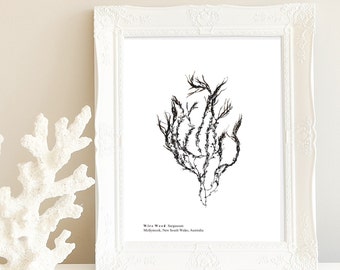 Coastal Pressed Seaweed Artwork, Download Print, Ocean, Home Decor, Wall Art, Nautical, Marine, Sea