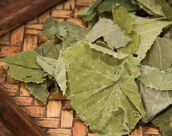 Epimedium / Epimedii Herba / Yín Yáng Huò 3,52 uncji - 7,4 uncji, Suszone Zioła / Naturalne Zioła