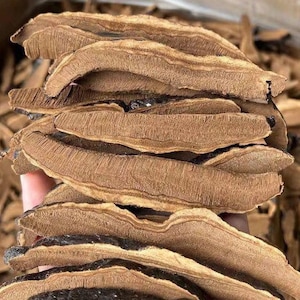 May include: Close-up of a stack of dried, brown, and black mushrooms. The mushrooms are arranged in a pile, with the edges of each mushroom visible. The mushrooms have a rough, textured surface.