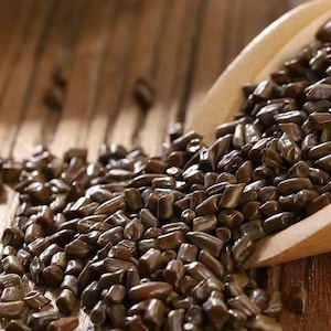 Cassia Seed, 3.52oz - 7.4oz, Cassia Senna L, Organic Dried Bulk Herb, Natural Herb