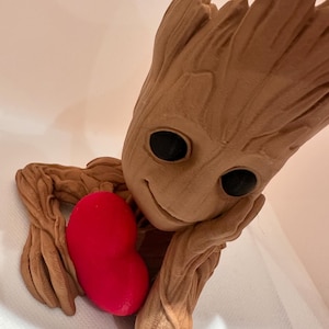 Valentines Groot