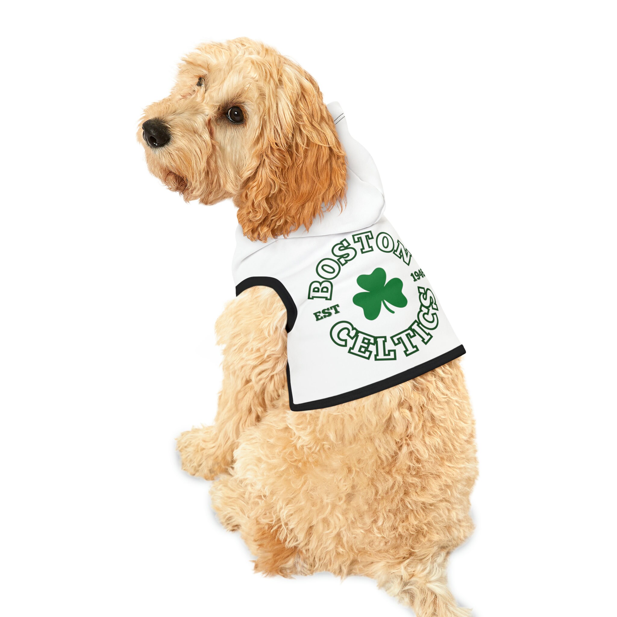 Boston celtics cheap dog jersey