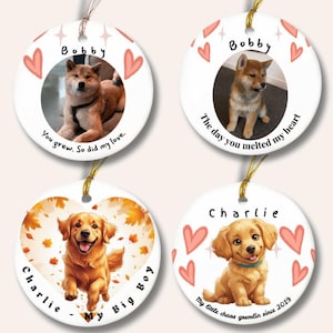 Custom Pet Ornament, Double-Sided Photo or Cartoon, Personalized Dog Cat Gift, Then and Now Animal Keepsake, Pet Memorial Decoration